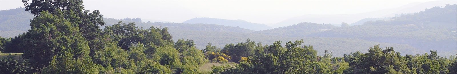 Hommage de la commune à Paul Bouquet