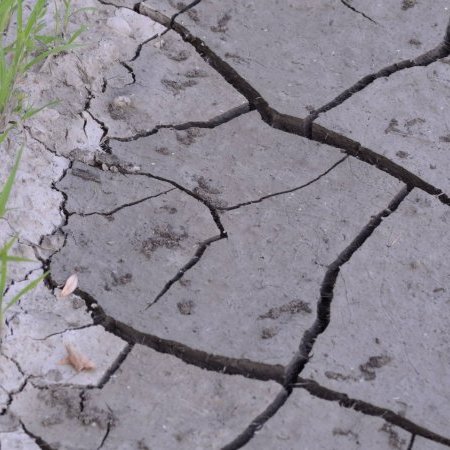 Sécheresse 2023 - Renforcement des mesures de restriction de l'usage de (...)