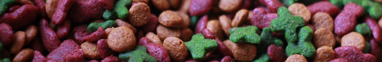Malveillance envers les chats