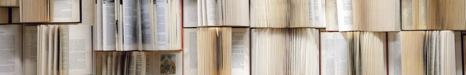 Nouveaux livres disponibles à la bibliothèque