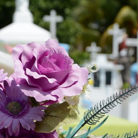 Appel au civisme après des vols de fleurs au cimetière