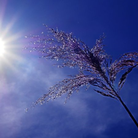 Canicule, fortes chaleurs : adoptez les bons reflexes