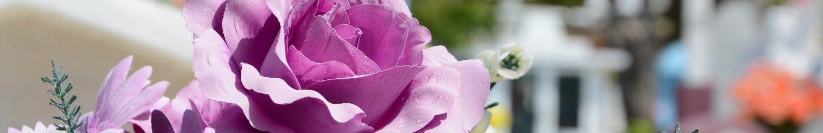 Appel au civisme après des vols de fleurs au cimetière