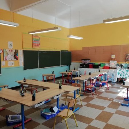 Scolarité