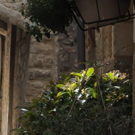 Exploitants et concessionnaires sur la commune