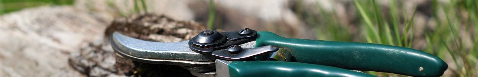 Chantier de débroussaillage le dimanche 5 février