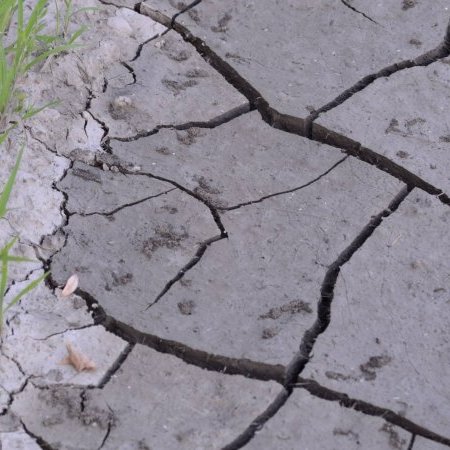 Sécheresse 2023 - Renforcement des mesures de restriction de l'usage de (…)