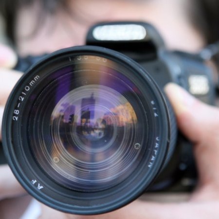 Voter pour le concours photo « La biodiversité de notre territoire »