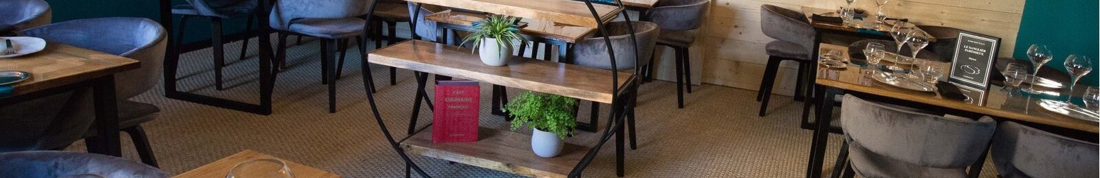 Offre découverte au sanglier paresseux