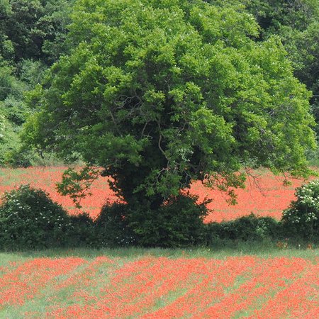 Évolution du logiciel Taxe de Séjour