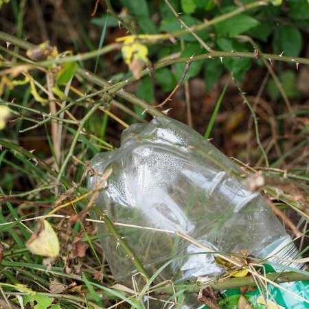 Opération "Ramassage de déchets"