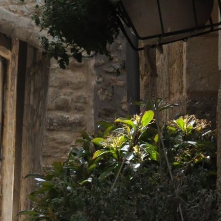 Exploitants et concessionnaires sur la commune