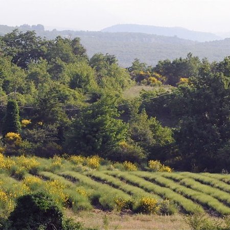 Accès aux massifs forestiers règlementé