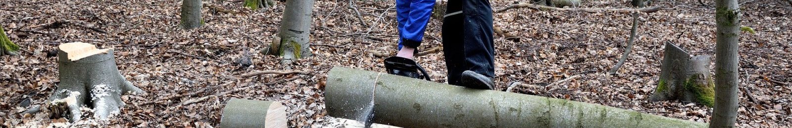 Arrêté préfectoral du 2 novembre 2021- application de l’article L. 124-5 du code forestier