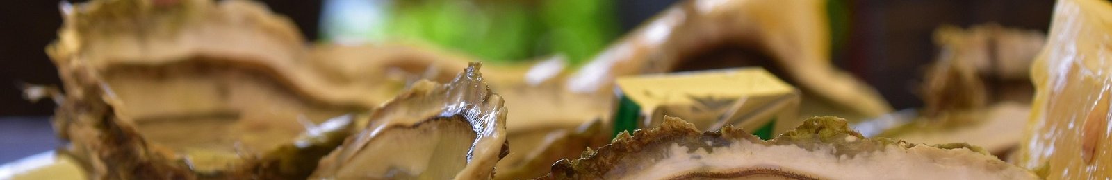 Dégustation d’huîtres de Bretagne