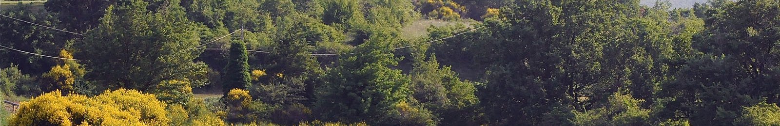 Accès aux massifs forestiers règlementé