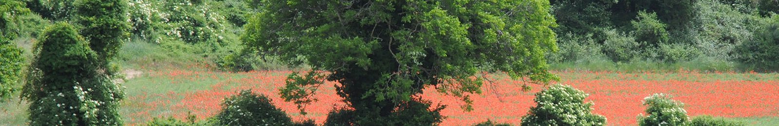 Évolution du logiciel Taxe de Séjour