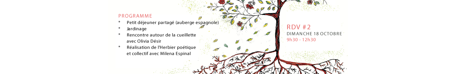 À la racine - Germinations d’automne