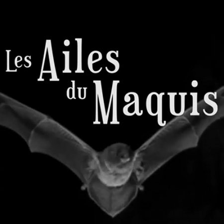 Le film "Les ailes du maquis", en libre sur Youtube.