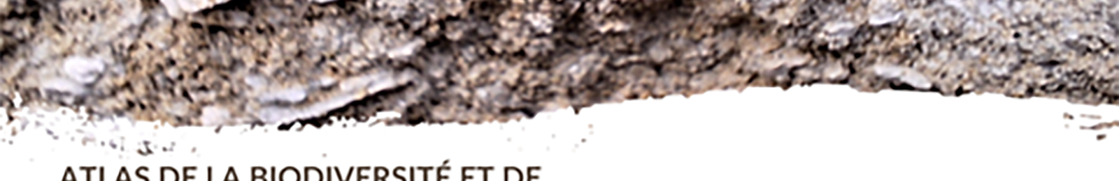 À la découverte de la géodiversité de Viens