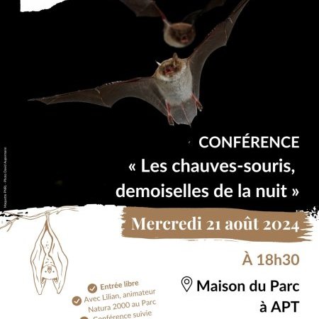 Conférence « Chauves-souris, demoiselles de la nuit »