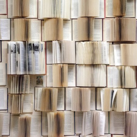 Nouveaux livres disponibles à la bibliothèque